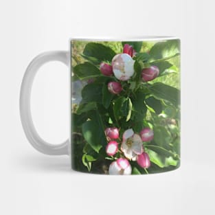 Abundant Apple Blossoms Mug